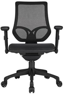WorkPro 1000 series task chair